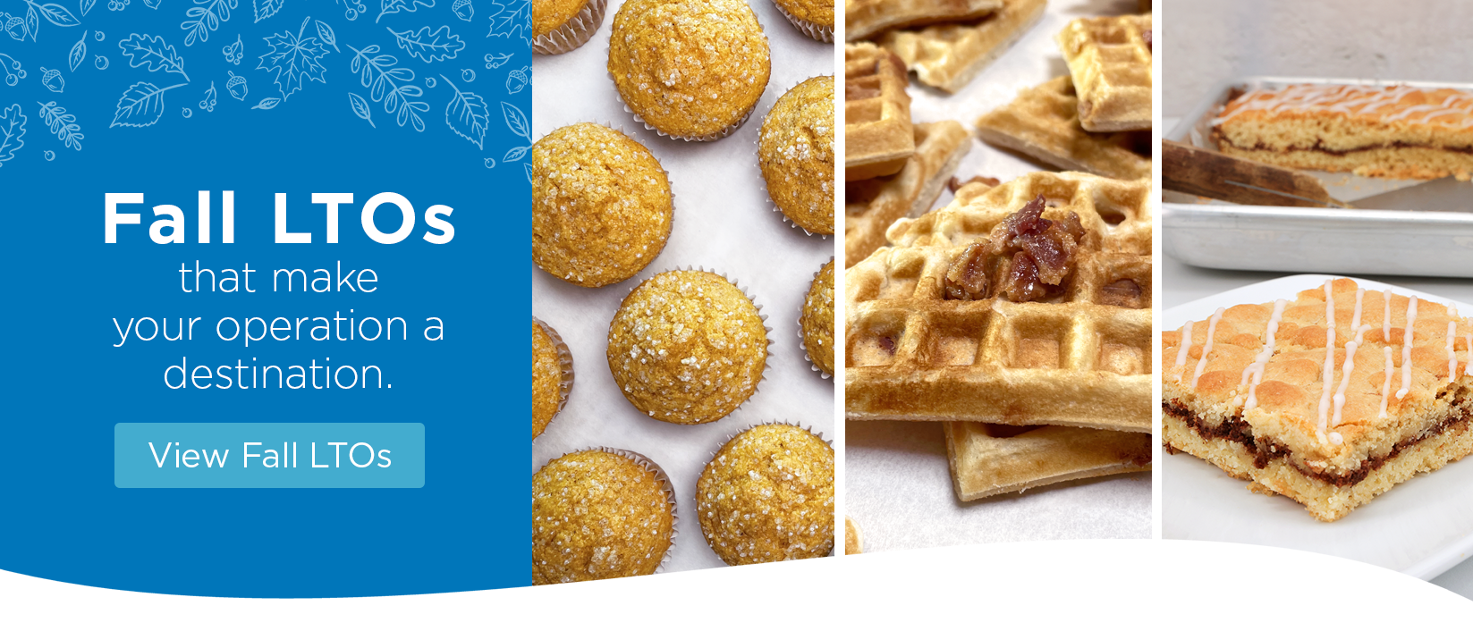 Fall Limited Time Offers Web Slider with Three Fall Recipes